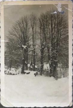 Fotografija lip iz leta 1938